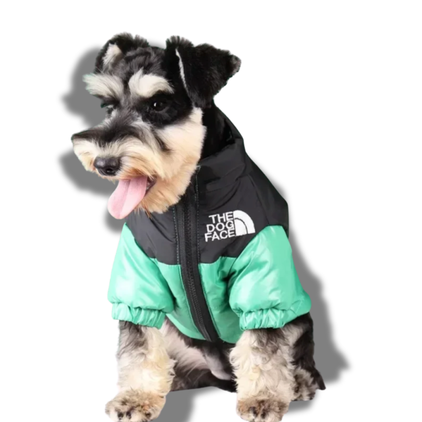 Dog Face zimná pufovaná bunda pre psa – nepremokavá, extra hrejivá