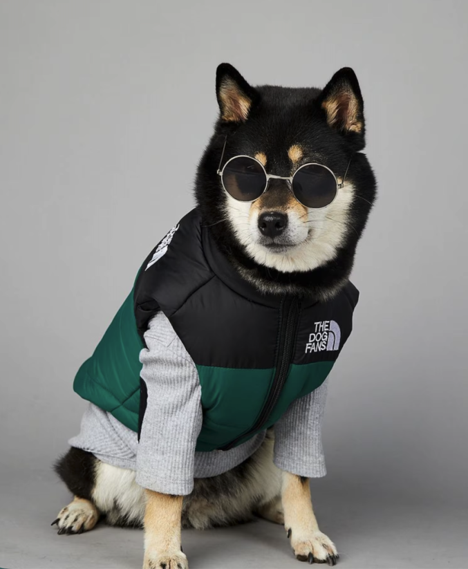 Dog Face zimná vesta pre psa – nepremokavá