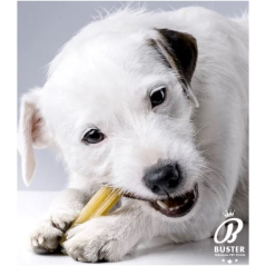 BUSTER White Dental - Hypoalergénna dentálna tyčinka s Beta Glucanom- Bez Gluténu