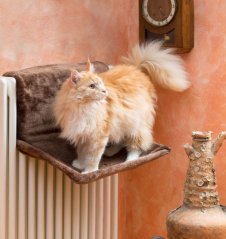 Ferplast CAT HAMMOCK AMACA - odpočívadlo pre mačky