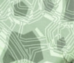 Zelený camo