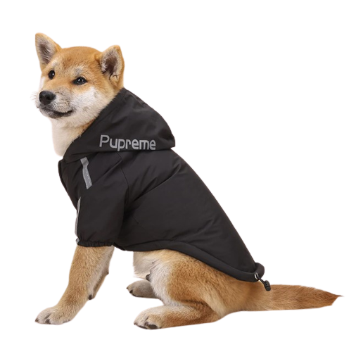 Nepremokavý zimný kabát pre psa s reflexnými prvkami od značky DOG FACE