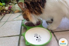 Ferplast IZAR - keramická miska pre mačky