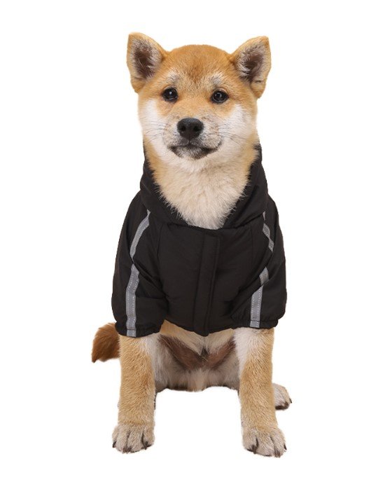 Nepremokavý zimný kabát pre psa s reflexnými prvkami od značky DOG FACE