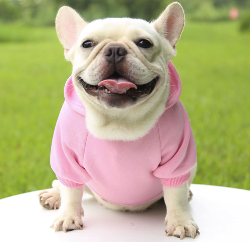 Bavlnená mikina pre psa s kapucňou - Farba: Fialová, Veľkosť: M