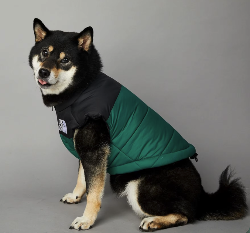 Dog Face zimná vesta pre psa – nepremokavá