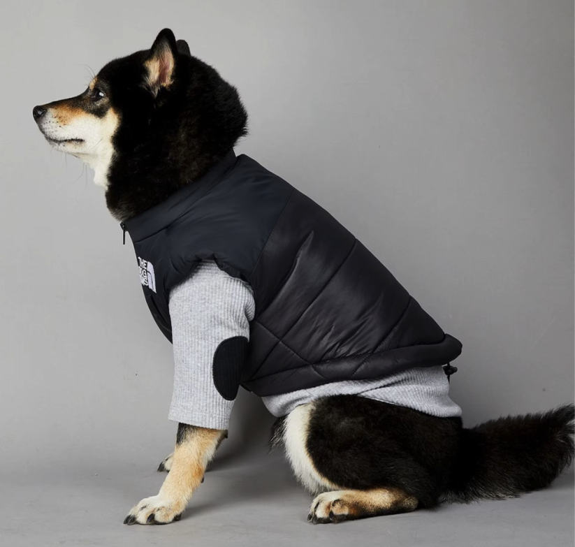 Dog Face zimná vesta pre psa – nepremokavá - Farba: Čierna, Veľkosť: S