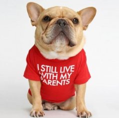 Tričko pre psov a mačky s nápisom "I STILL LIVE WITH MY PARENTS"
