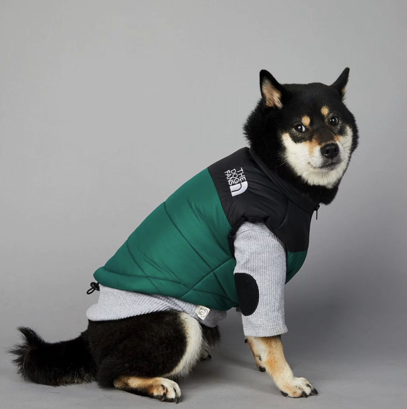 Dog Face zimná vesta pre psa – nepremokavá - Farba: Čierna, Veľkosť: S