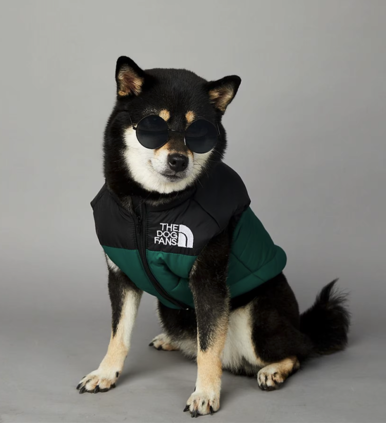 Dog Face zimná vesta pre psa – nepremokavá