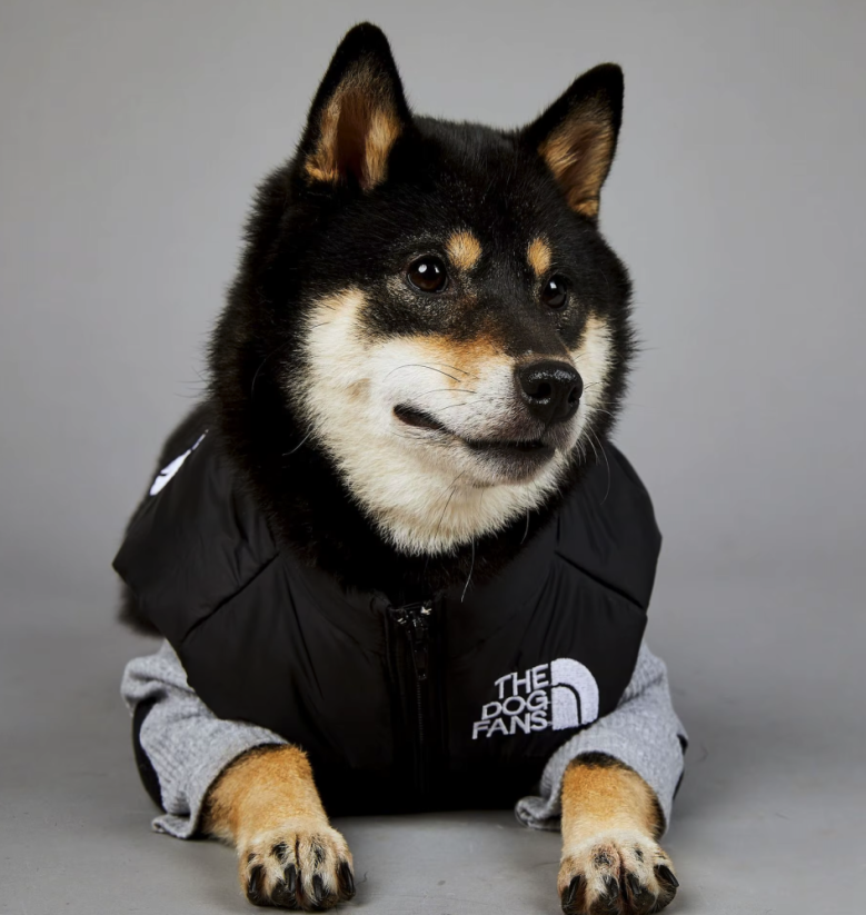 Dog Face zimná vesta pre psa – nepremokavá