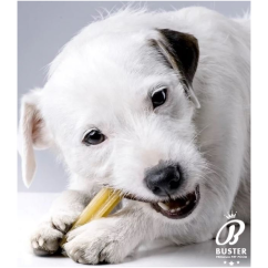 BUSTER White Dental - Hypoalergénna dentálna tyčinka s Beta Glucanom- Bez Gluténu
