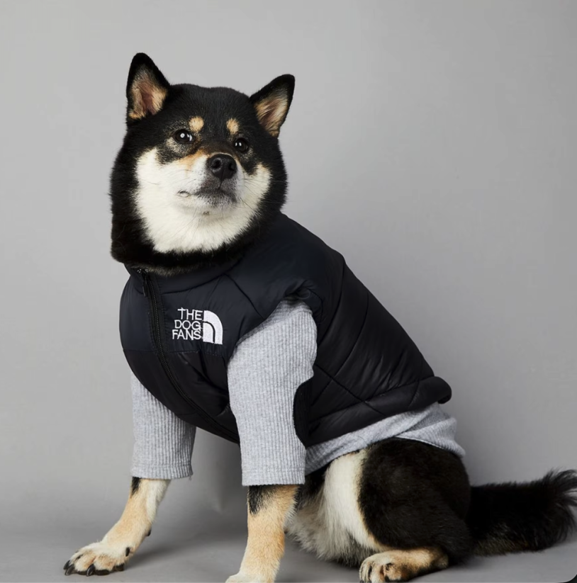 Dog Face zimná vesta pre psa – nepremokavá