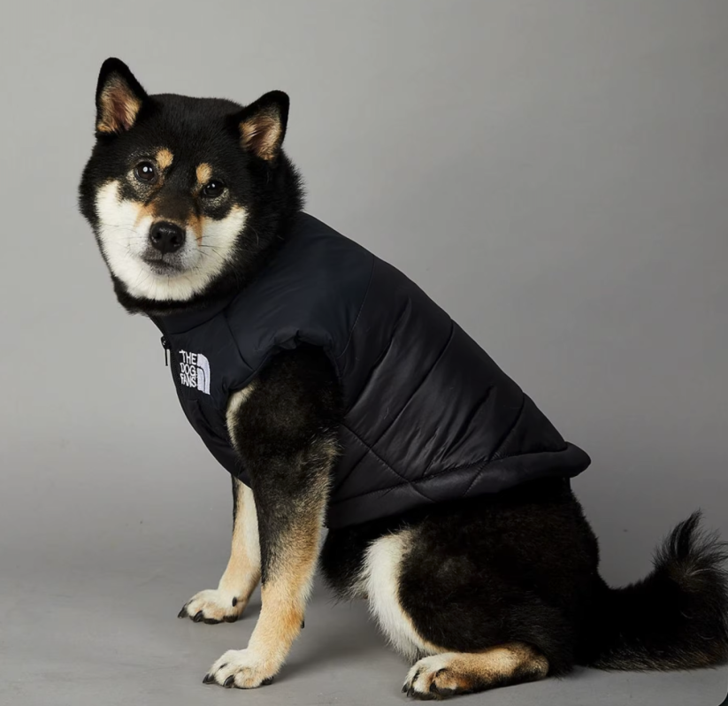Dog Face zimná vesta pre psa – nepremokavá - Farba: Čierna, Veľkosť: S