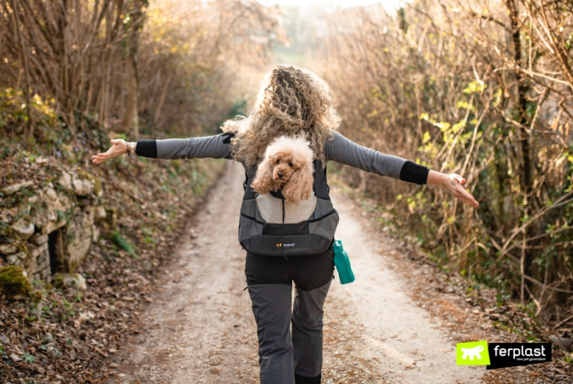 Ferplast KANGOO - batoh pre psy a mačky - ružový