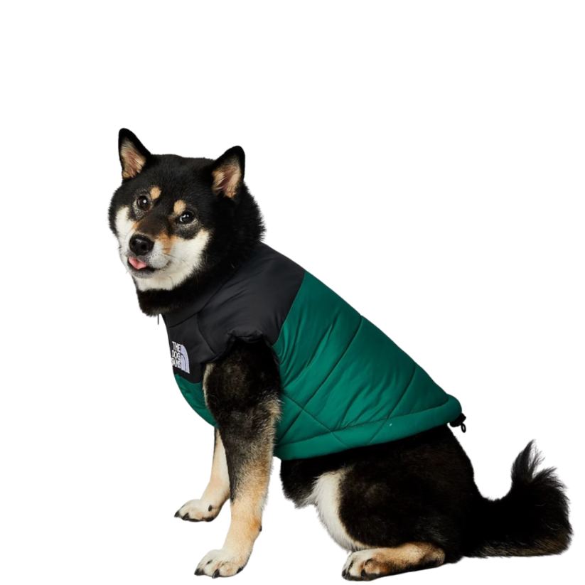 Dog Face zimná vesta pre psa – nepremokavá