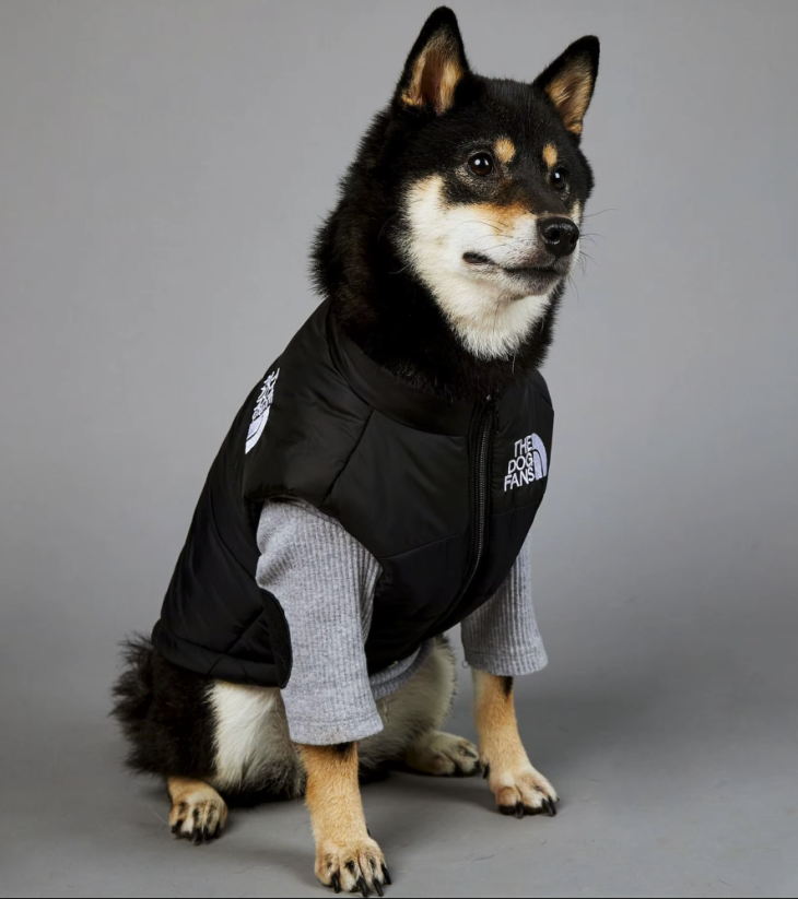 Dog Face zimná vesta pre psa – nepremokavá - Farba: Čierna, Veľkosť: S