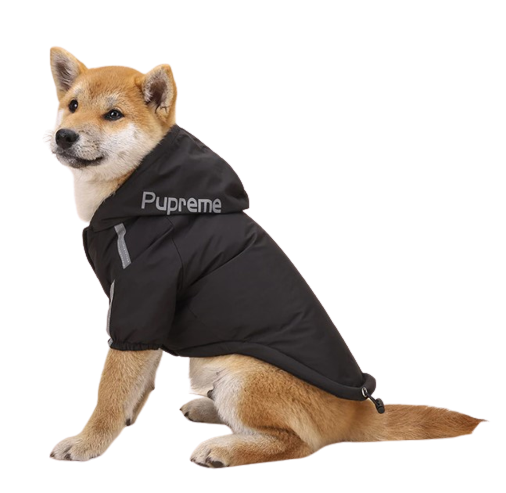 Nepremokavý zimný kabát pre psa s reflexnými prvkami od značky DOG FACE - Farba: Červená, Veľkosť: M