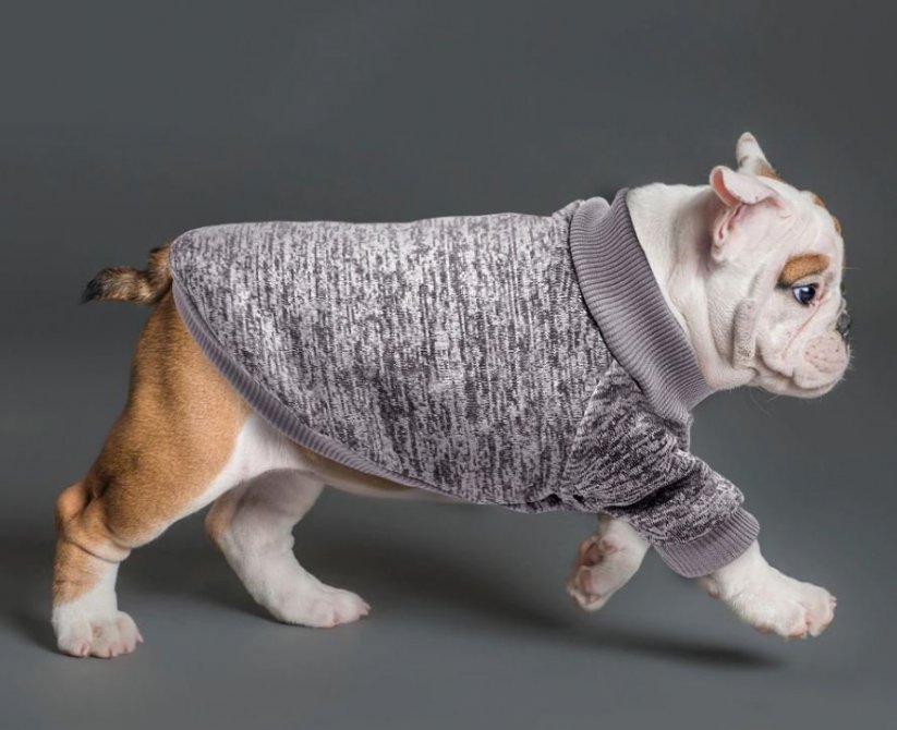 Zimný pulóver pre psov